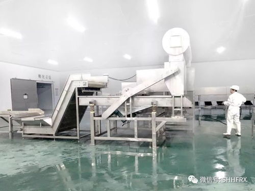 豆制品入选新冠肺炎防治营养膳食，中豆食品以安全健康产品守护民生餐桌